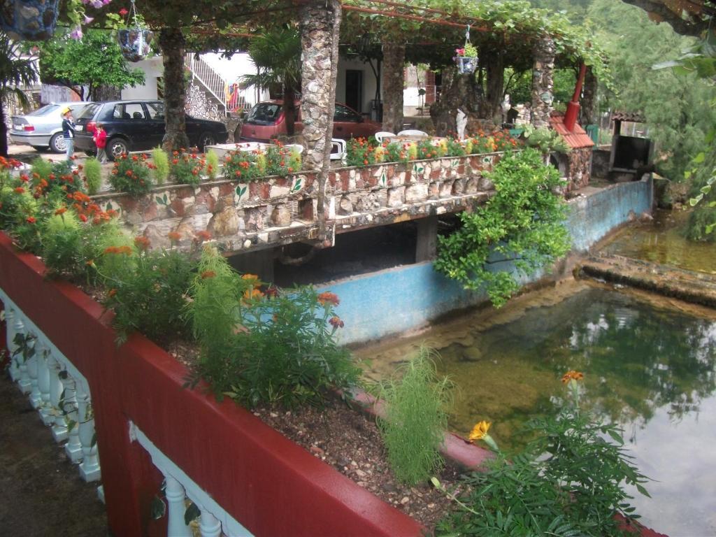 Radonjic Apartments Budva Quarto foto